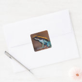 Phyllobates vittatus, een gifpijlkikker vierkante sticker (Envelop)