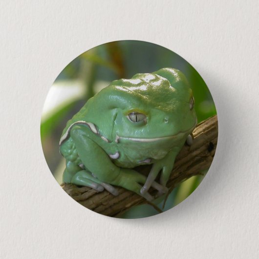 Phyllomedusa sauvagii ronde button 5,7 cm (Voorkant)