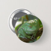 Phyllomedusa sauvagii ronde button 5,7 cm (Voorkant /achterkant)