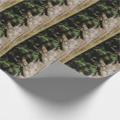 Phylloscopus collybita cadeaupapier (Hoek)