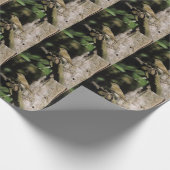Phylloscopus collybita cadeaupapier (Hoek)