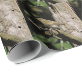 Phylloscopus collybita cadeaupapier (Rol Hoek)