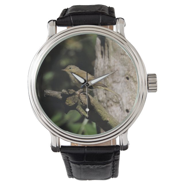 Phylloscopus collybita horloge (Voorkant)