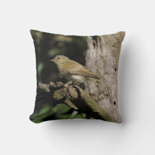 Phylloscopus collybita kussen