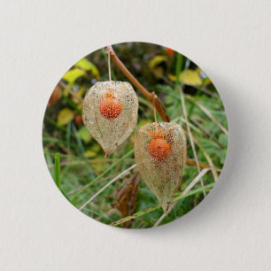 Physalis alkekengi Badge Ronde Button 5,7 Cm