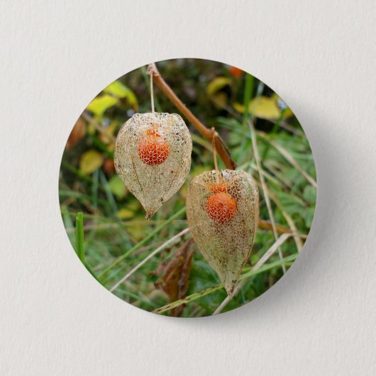 Physalis alkekengi Badge Ronde Button 5,7 Cm (Voorkant)