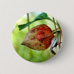 Physalis alkekengi Badge Ronde Button 5,7 Cm