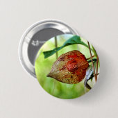 Physalis alkekengi Badge Ronde Button 5,7 Cm (Voorkant /achterkant)