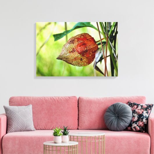 Physalis alkekengi canvas afdruk (Insitu (Woonkamer))
