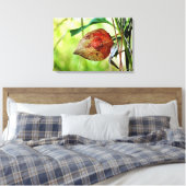 Physalis alkekengi canvas afdruk (Insitu (Slaapkamer))