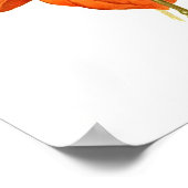 Physalis alkekengi franchetti poster (Hoek)