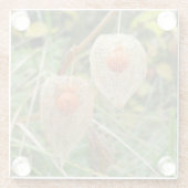 Physalis alkekengi glazen onderzetter (Achterkant)