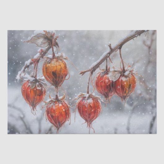 Physalis Fruit op een tak in de Sneeuw Tissuepapier (Voorkant)