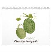 Phytanthoza Iconographia Kalender (Hoes)