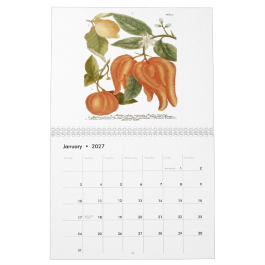 Phytanthoza Iconographia Kalender (Jan 2027)