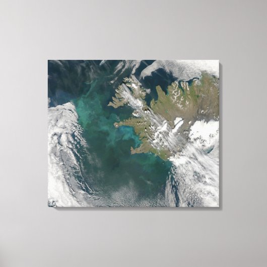 Phytoplankton bloom in de Noord-Atlantische Oceaan Canvas Afdruk (Voorkant)