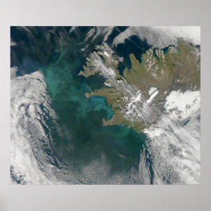 Phytoplankton bloom in de Noord-Atlantische Oceaan Poster