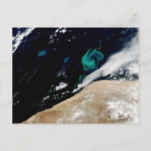 Phytoplankton bloom van het Briefkaart van Namibië