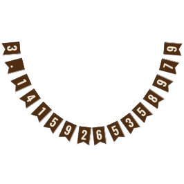 PI 3.14 Bunting Banner