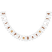 PI Dag 3.14 Bunting Flags Vlaggetjes (Alle)