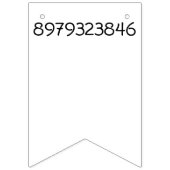 Pi Dag Vlaggetjes (Tweede vlag)