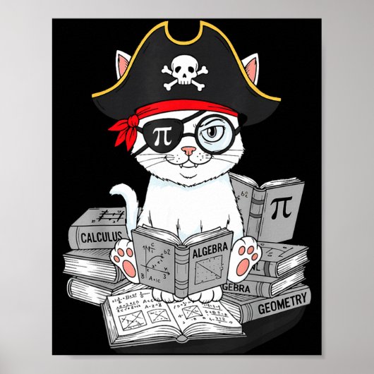 Pi Dag Wiskunde Kat Nerd Wiskunde Piraat Leraar St Poster (Voorkant)