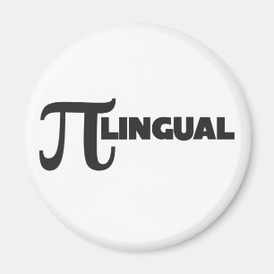 Pi Day Wiskunde Geek humor Magneet