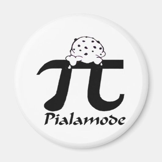 Pi-symbool Magneet (Voorkant)