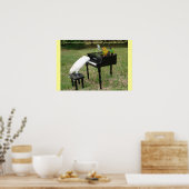 Pianist Parrots Poster (Keuken)