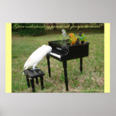 Pianist Parrots Poster (Voorkant)