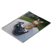 Piano Cat, Funny Somali Cat Musician die Piano spe Notitieboek (Linkerzijde)