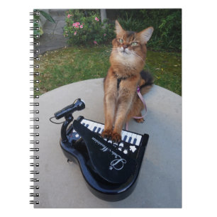 Piano Cat, Funny Somali Cat Musician die Piano spe Notitieboek
