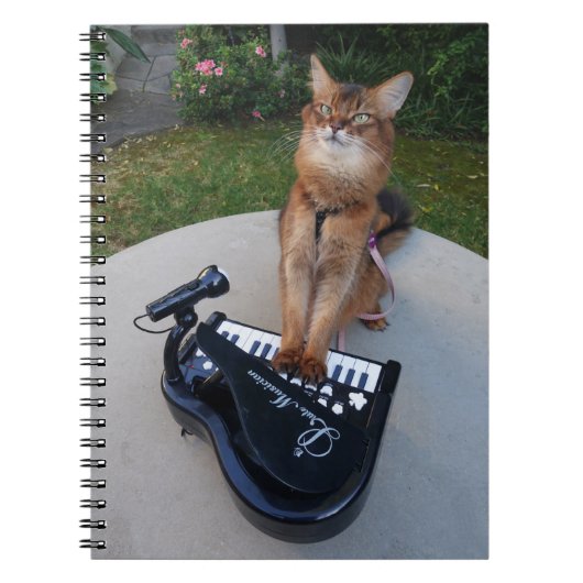 Piano Cat, Funny Somali Cat Musician die Piano spe Notitieboek (Voorkant)