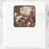 PIANO CATS - Grappige Cat Stickers (Tas)