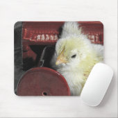 Piano Chick foto bekijken Muismat (Met muis)