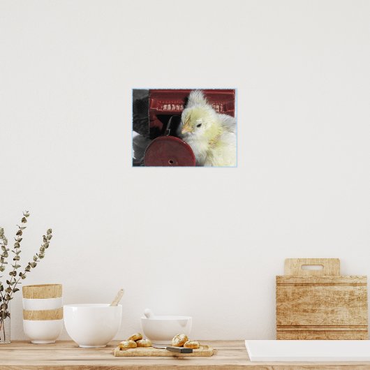 Piano Chick  foto bekijken Poster (Keuken)