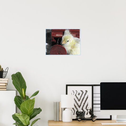 Piano Chick Poster (Thuiskantoor)