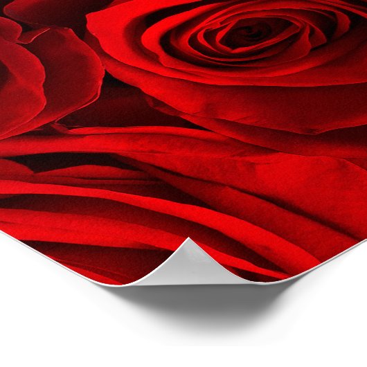 Piano en Rozen Poster (Hoek)