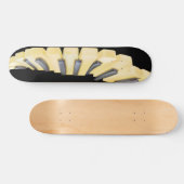 Piano Ivory Skateboard (Horizontaal)