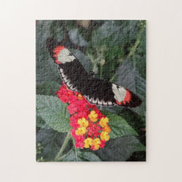 Piano Key Butterfly Puzzle Legpuzzel