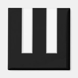 Piano Keys Musical Instrument Black White Magneet
