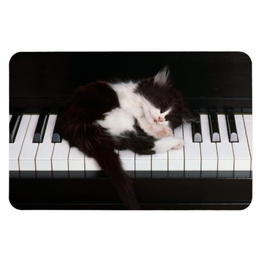 Piano Kitten Magneet (Horizontaal)