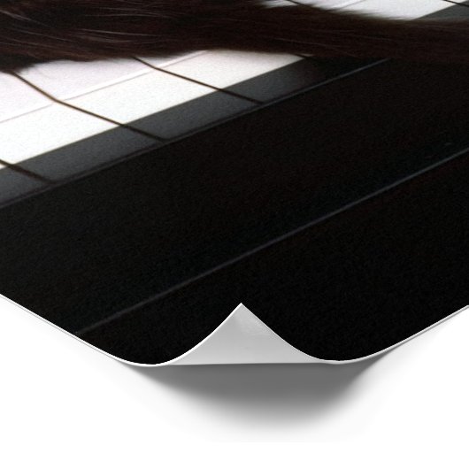 Piano Kitten Poster (Hoek)