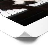 Piano Kitten Poster (Hoek)