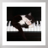 Piano Kitten Poster (Voorkant)