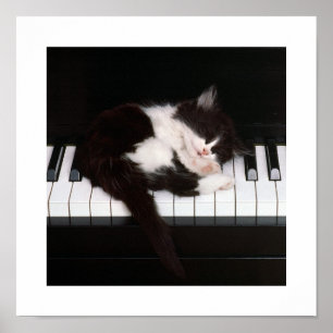 Piano Kitten Poster