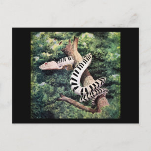 Piano Snake Briefkaart