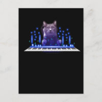 Piano-speelkat-toetsenbord (kit)