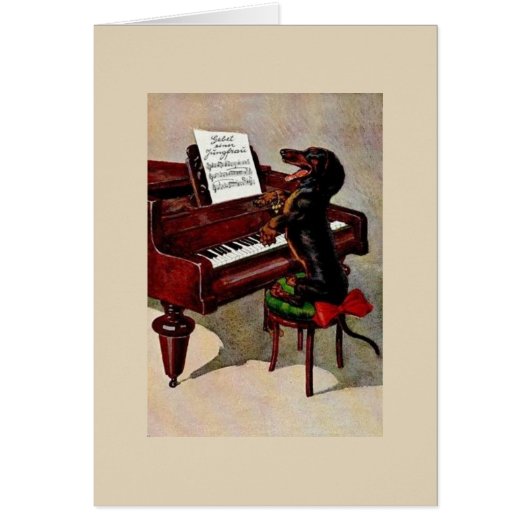 - Piano-speldachshund, (Voorkant)