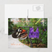 PianoButterfly-Briefkaart/Citaat Briefkaart (Voorkant / Achterkant)
